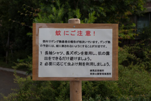 練馬でもデング熱注意！
