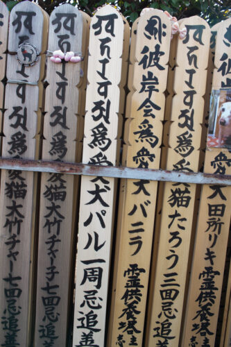 一周忌で大泉寺・西信寺別院大泉霊園に行きました。