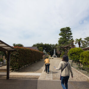 お彼岸は満車で入れないので今日、大泉寺・西信寺別院大泉霊園に行きました。