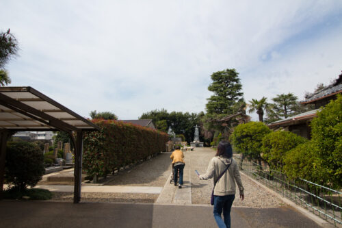 お彼岸は満車で入れないので今日、大泉寺・西信寺別院大泉霊園に行きました。