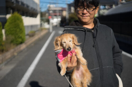 女子大生にα7＋テッサーを貸したら喜んで撮っていた話。