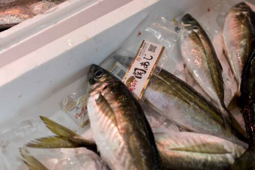 久しぶりの魚屋シュンは鰺祭りです。