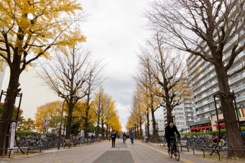 光が丘公園の紅葉その2。