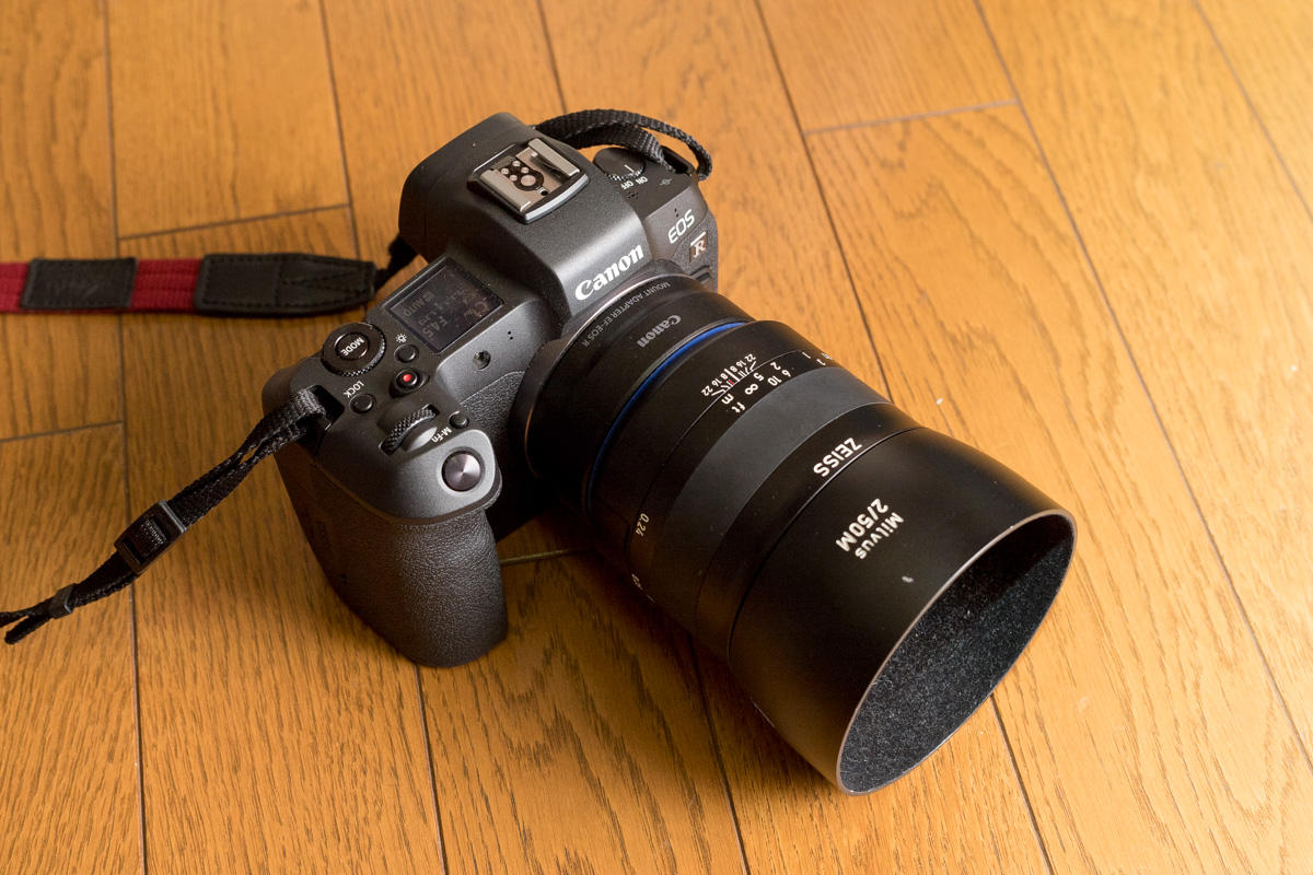 Canon EOS R6 RF→EFアダプタ付き - www.pigesa.com