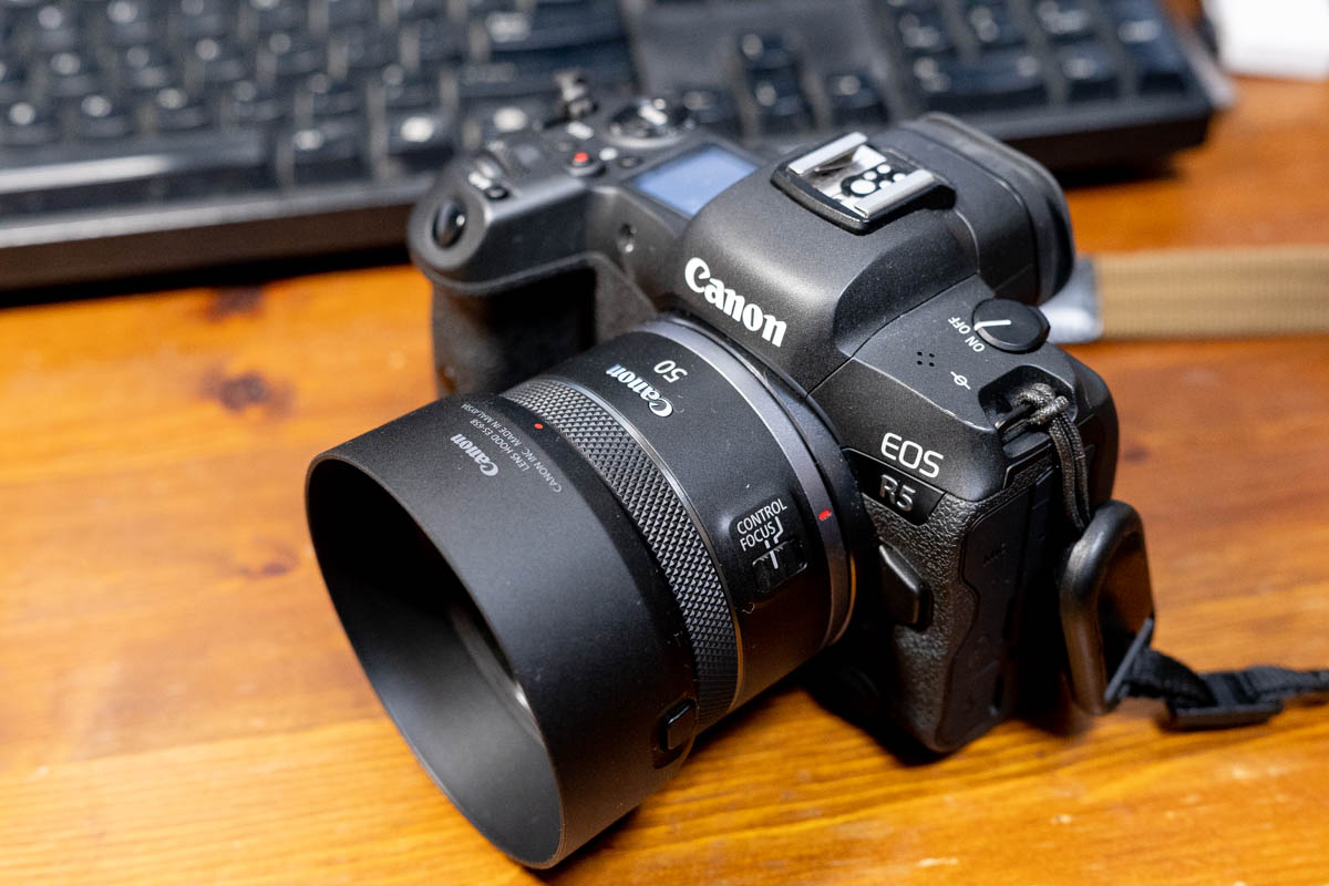 国内外の人気が集結 キヤノン フード付 STM F1.8 EF50mm 単焦点レンズ ...