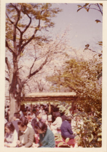 nomura 207 【古いアルバム】1962-1970年代の野村家＠豊島園。