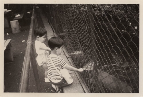nomura 98 【古いアルバム】1962-1970年代の野村家＠豊島園。