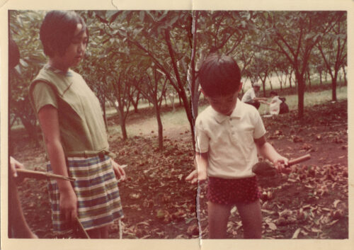 primaryschool 102 【古いアルバム】1969-1975立教小学校。
