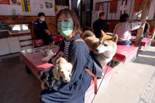 RF14-35mm F4 L IS USMレビュー。撮影記、千葉県佐原で［I LOVE みんなの動物園］常くんに会いました。