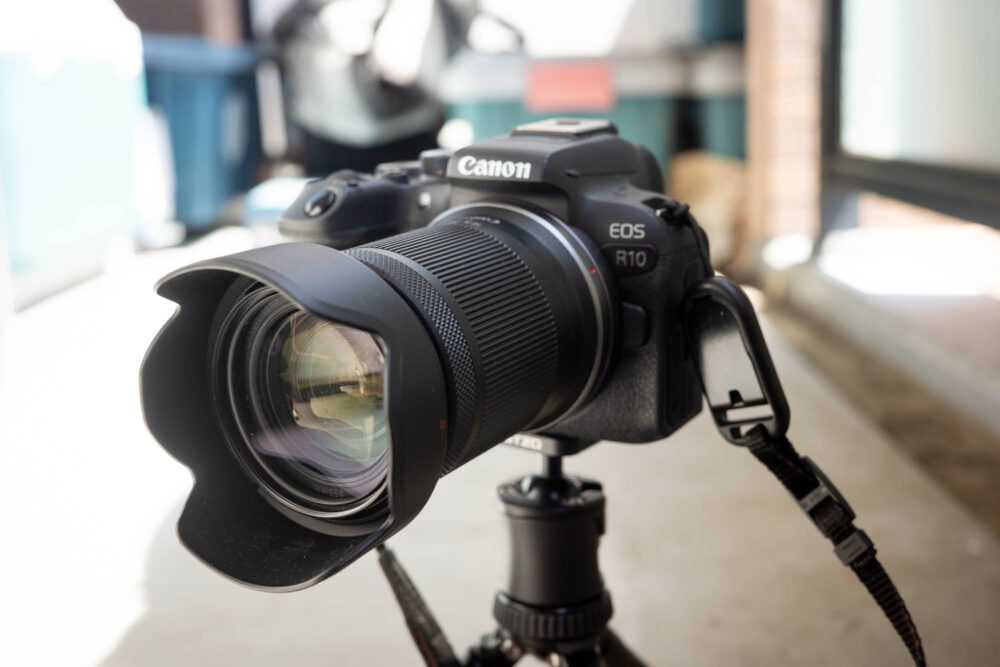 キヤノンEOS R6 Mark IIとEOS R10比較レビュー、実に快適な棲み分けが