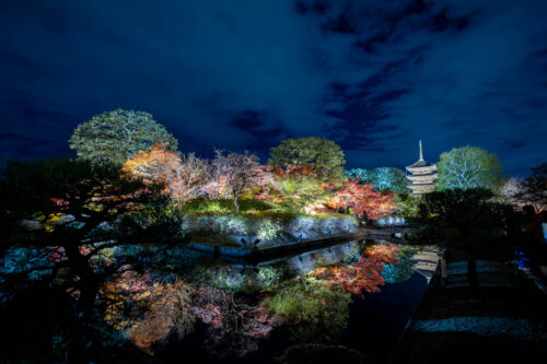 そうだ、京都行かなきゃ。