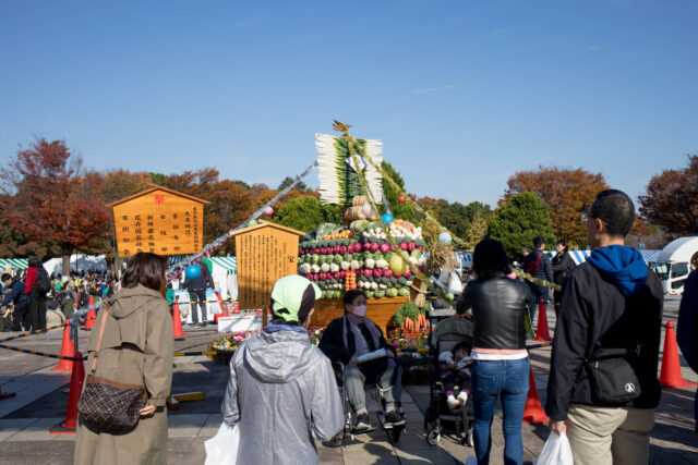光が丘公園農業フェスティバル2025＋JAあおば農業祭と紅葉。