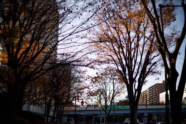 キヤノンRF45mm F1.2 STM遠景の作例。