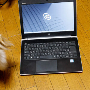 Linux mintをモバイルノートで使おう。